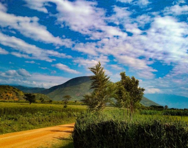 Viaggio di gruppo in Uganda