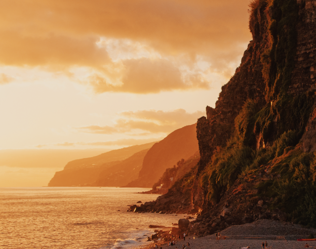 Madeira Wild