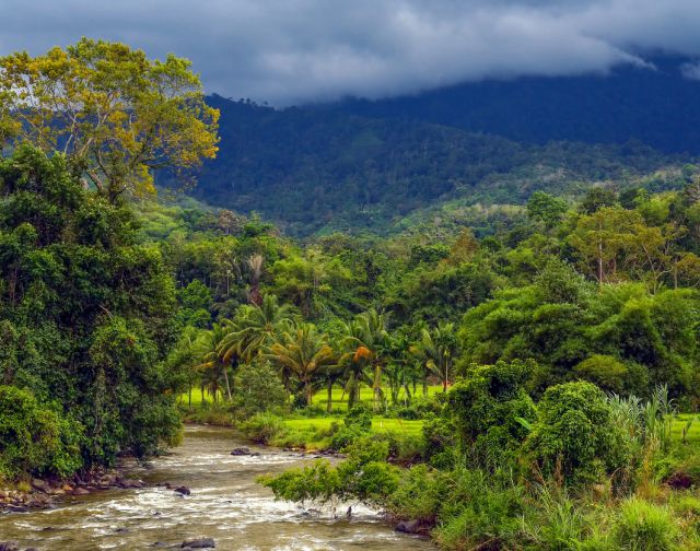 Indonesia: Sumatra alla ricerca di oranghi e civiltà perdute