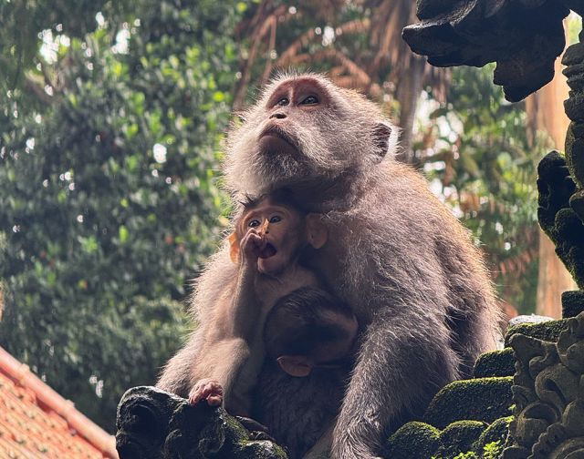Viaggio di gruppo Bali e Gili