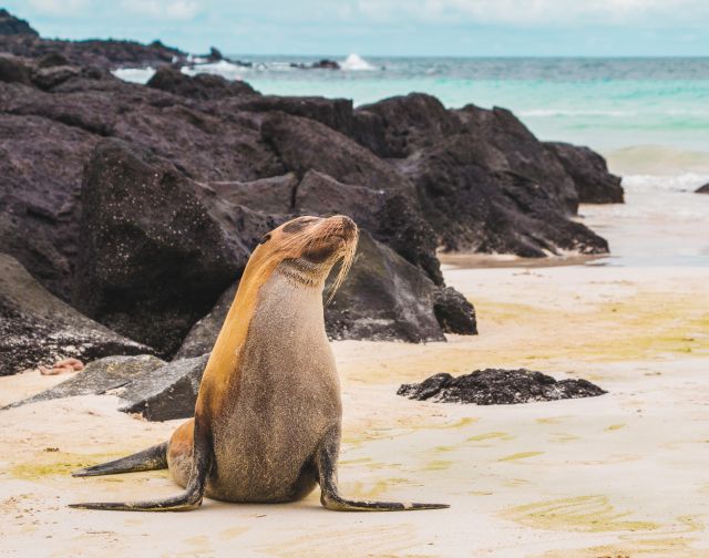 Viaggi di gruppo Ecuador e Isole Galapagos