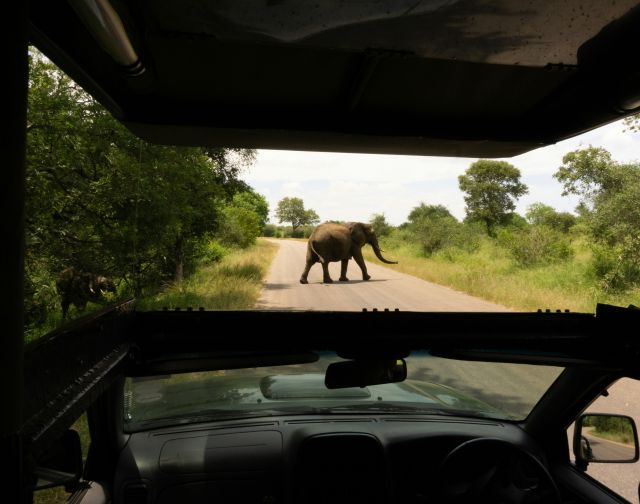 Viaggio di gruppo in Sudafrica