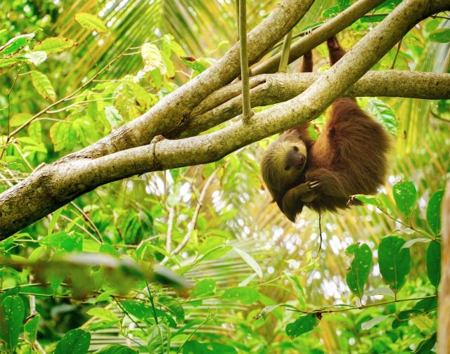 Viaggio di gruppo in Costa Rica