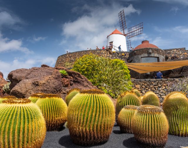 Canarie: Lanzarote & Fuerteventura