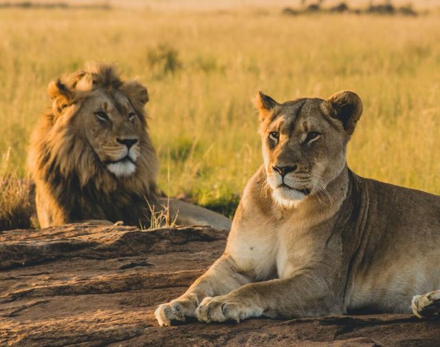 viaggio di gruppo in Tanzania con Treedom