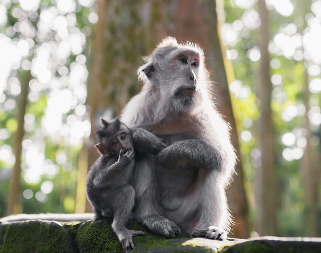 Viaggio di gruppo in Indonesia Bali e Java