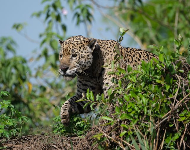 Viaggio di Gruppo in Brasile