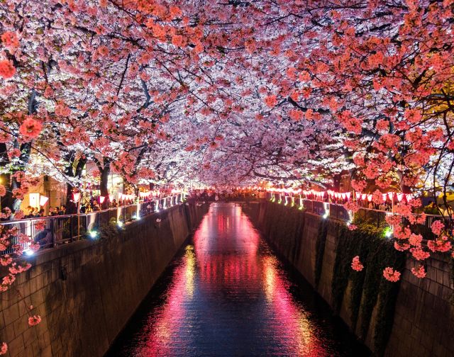 Viaggio di gruppo in Giappone: Tokyo, Kyoto & Osaka