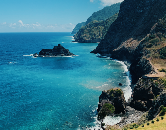 Madeira Wild