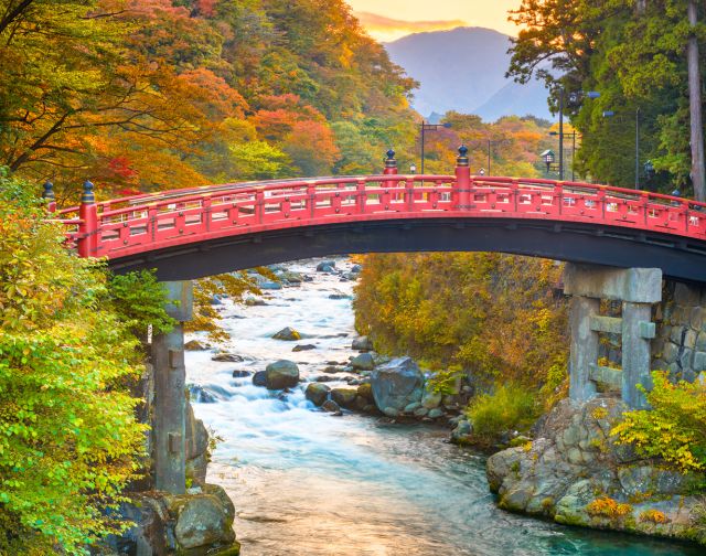 Viaggio fotografico di gruppo a Tokyo