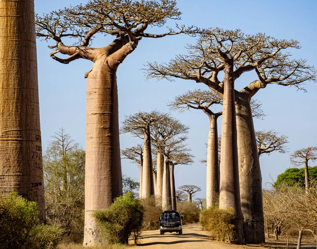 Viaggio di gruppo in Madagascar