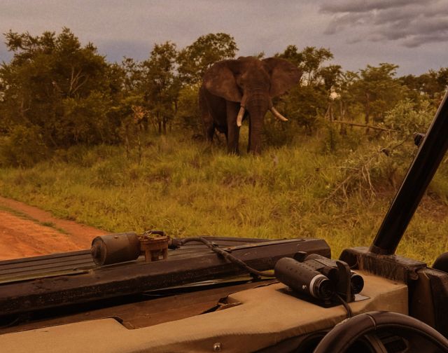 Viaggio di gruppo in Sudafrica