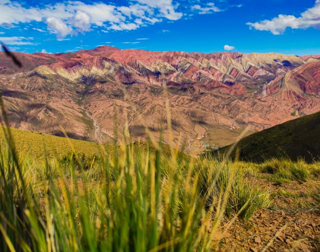 Viaggio di gruppo in Argentina