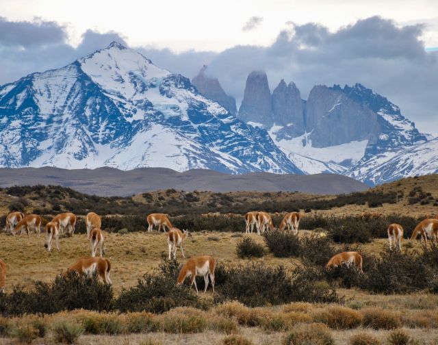 Viaggio di gruppo Patagonia