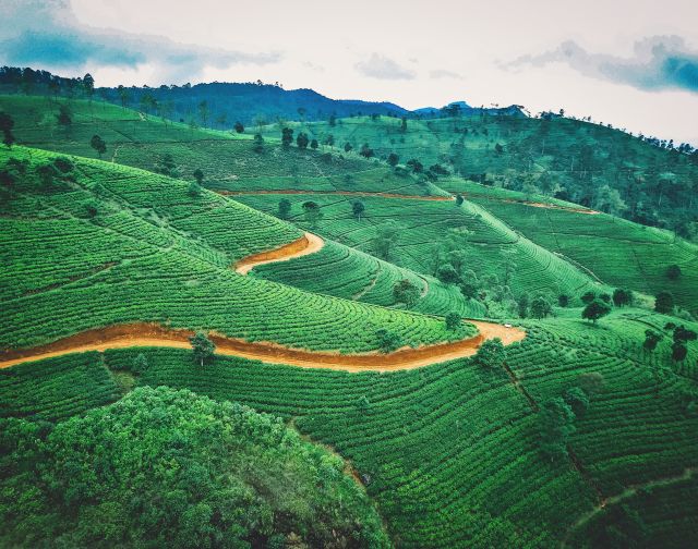 Viaggio di gruppo in Sri Lanka