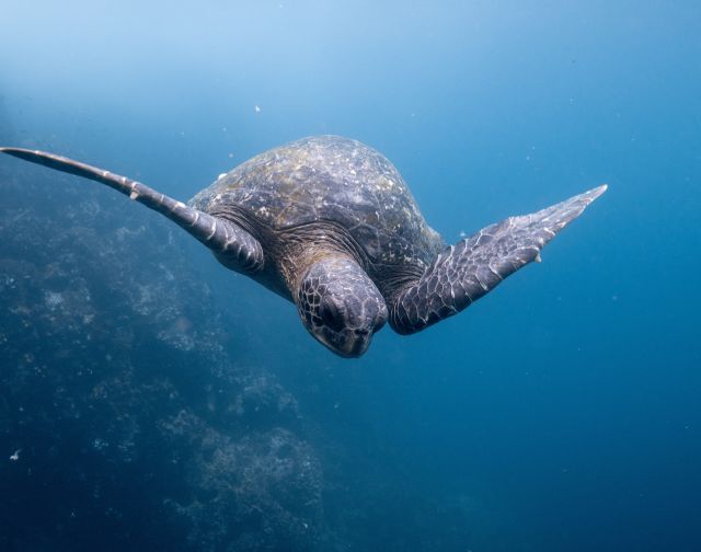 Viaggi di gruppo Ecuador e Isole Galapagos