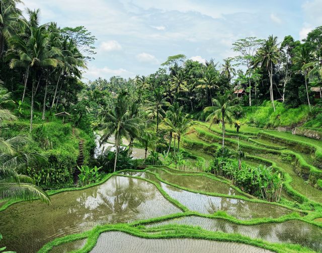 Viaggio di gruppo in Indonesia: Bali e Komodo