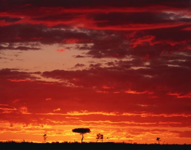 Viaggio di Gruppo  in Tanzania e Mafia Island