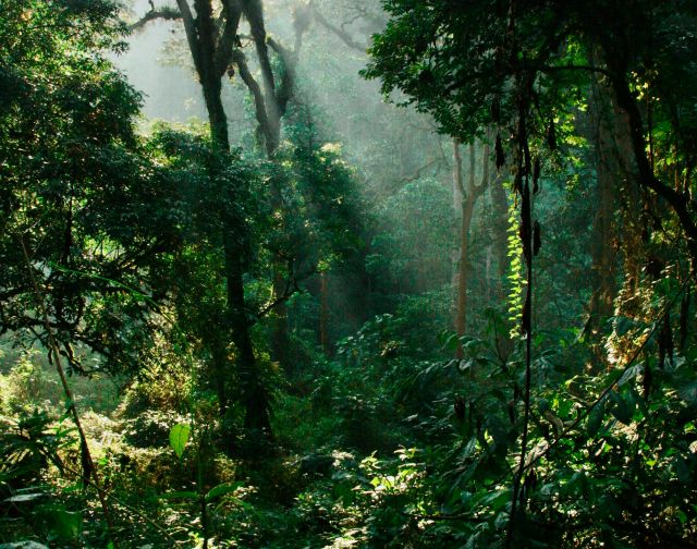 Viaggio di gruppo solidale Uganda e gorilla