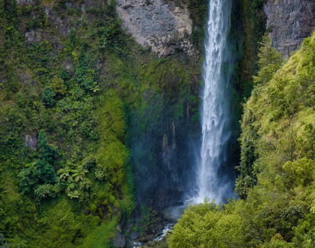 Indonesia: Sumatra alla ricerca di oranghi e civiltà perdute