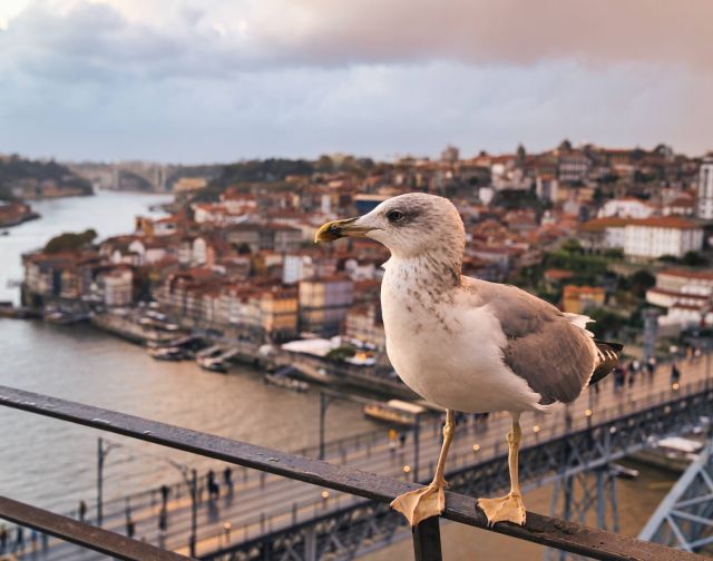 Fotografinviaggio