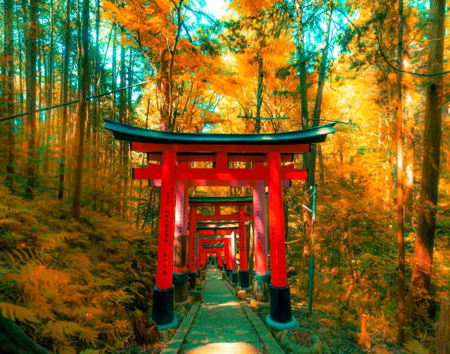 Viaggio di gruppo in Giappone: Tokyo, Kyoto & Osaka
