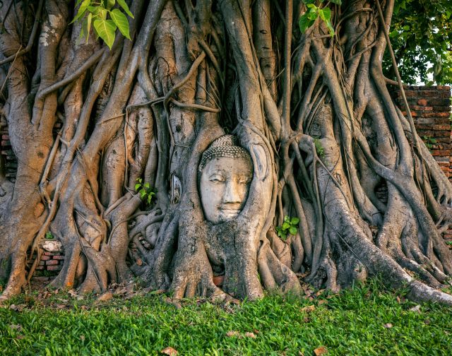 Viaggio di gruppo in Thailandia