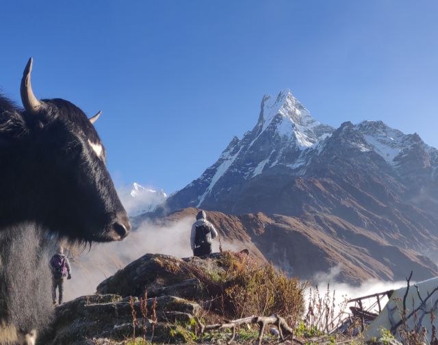 Viaggio di gruppo Nepal Annapurna trekking