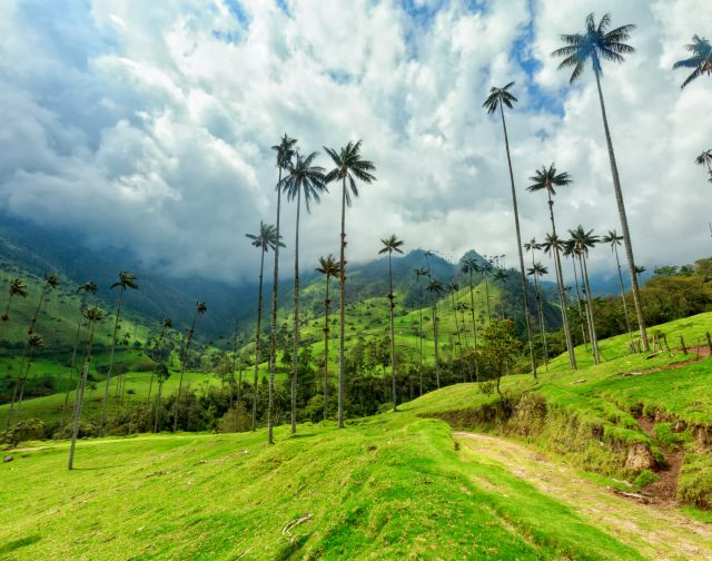 Viaggio in Colombia e Amazzonia