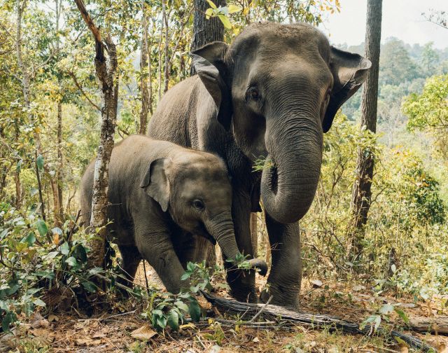 Viaggio di gruppo in Thailandia