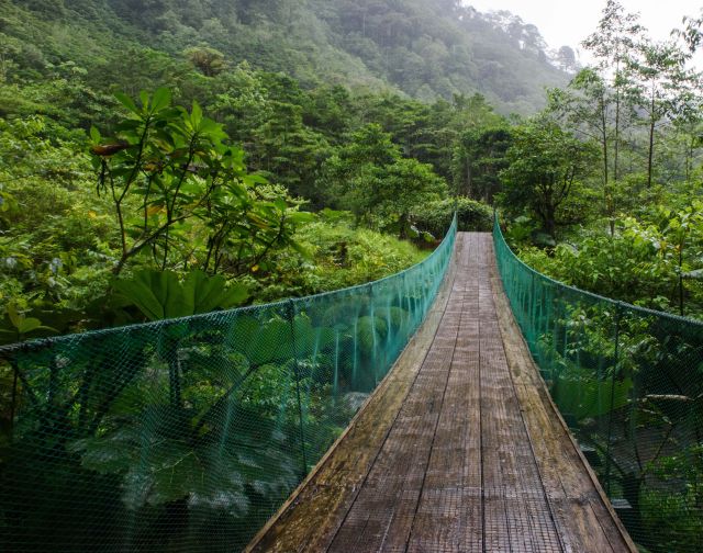 Viaggio di gruppo in Costa Rica