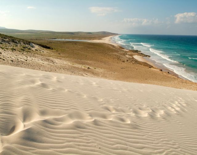 Viaggio di gruppo a Socotra