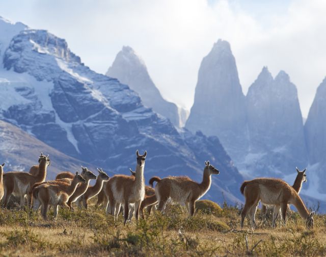 Patagonia: tra Argentina & Cile