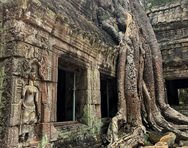 Cambogia
