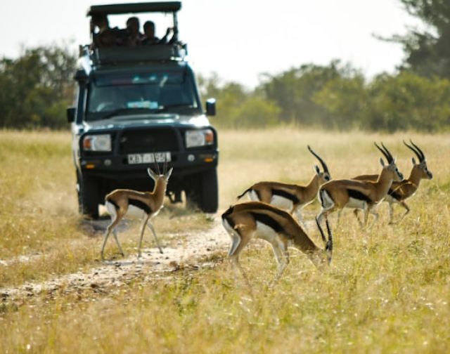 Viaggio di gruppo in Kenya