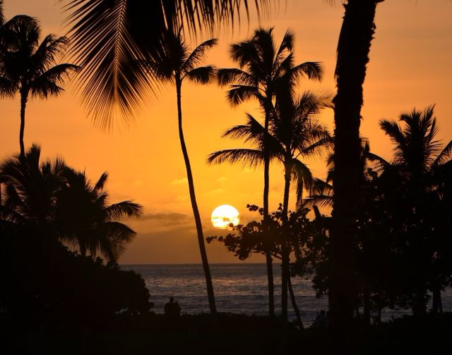 Hawaii Trekking