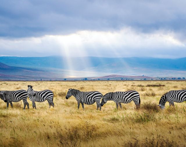 Viaggi di gruppo Tanzania e Zanzibar