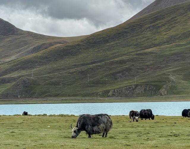 Viaggio di gruppo in Tibet