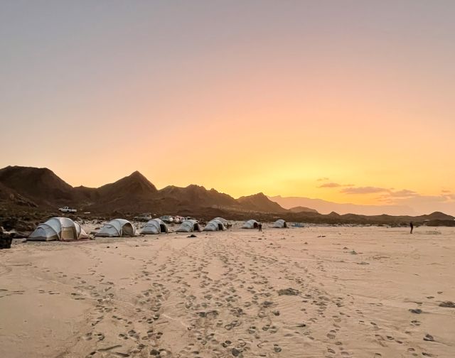 Viaggio di gruppo a Socotra