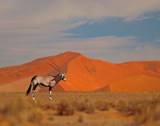 Namibia Sky Trip