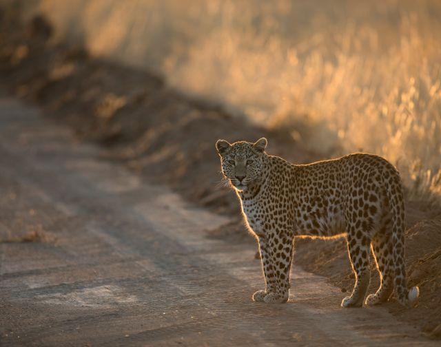 Viaggio di gruppo in Sudafrica