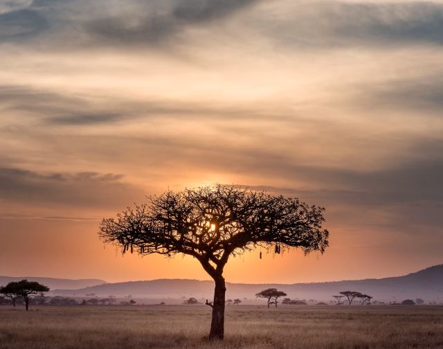 viaggio di gruppo in Tanzania con Treedom