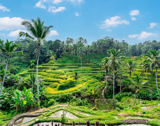 Viaggio di gruppo Bali e Gili