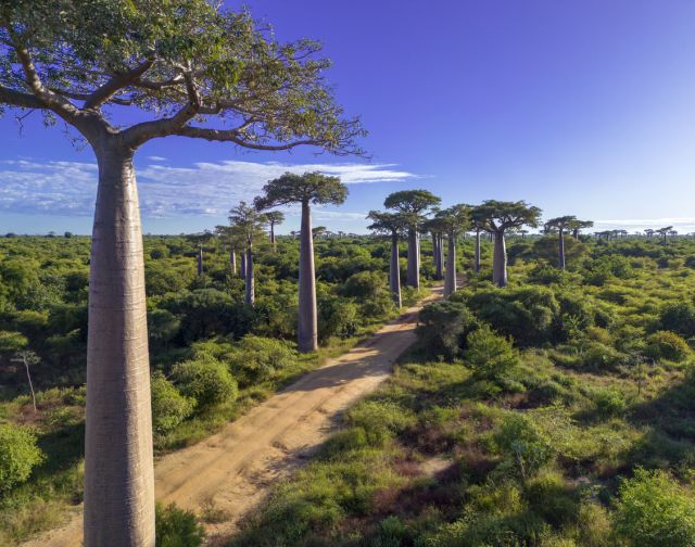 Viaggio in Madagascar