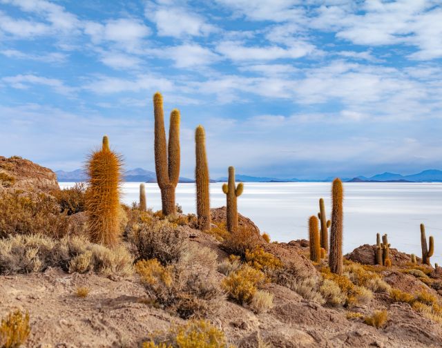 Viaggio di gruppo in Bolivia