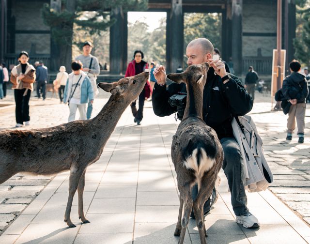 Francesco Pontarelli