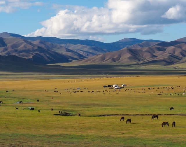 Viaggio di gruppo in Mongolia
