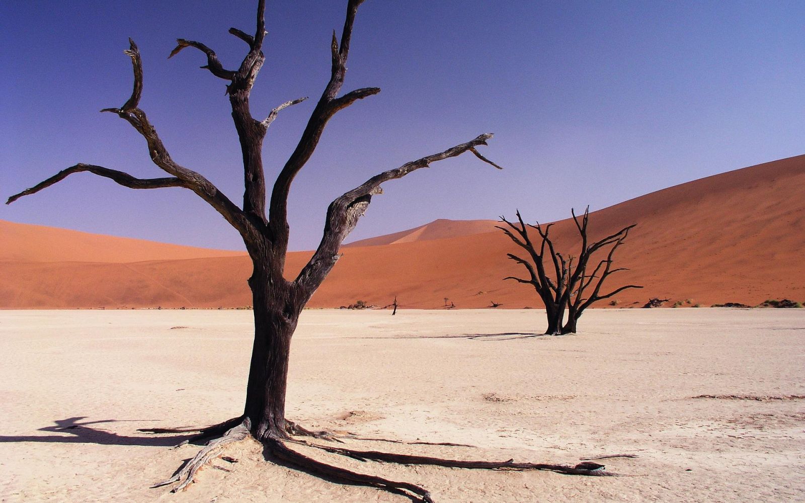 Tutto ciò che c'è da sapere su Sossusvlei, tra i luoghi più incredibili della Namibia