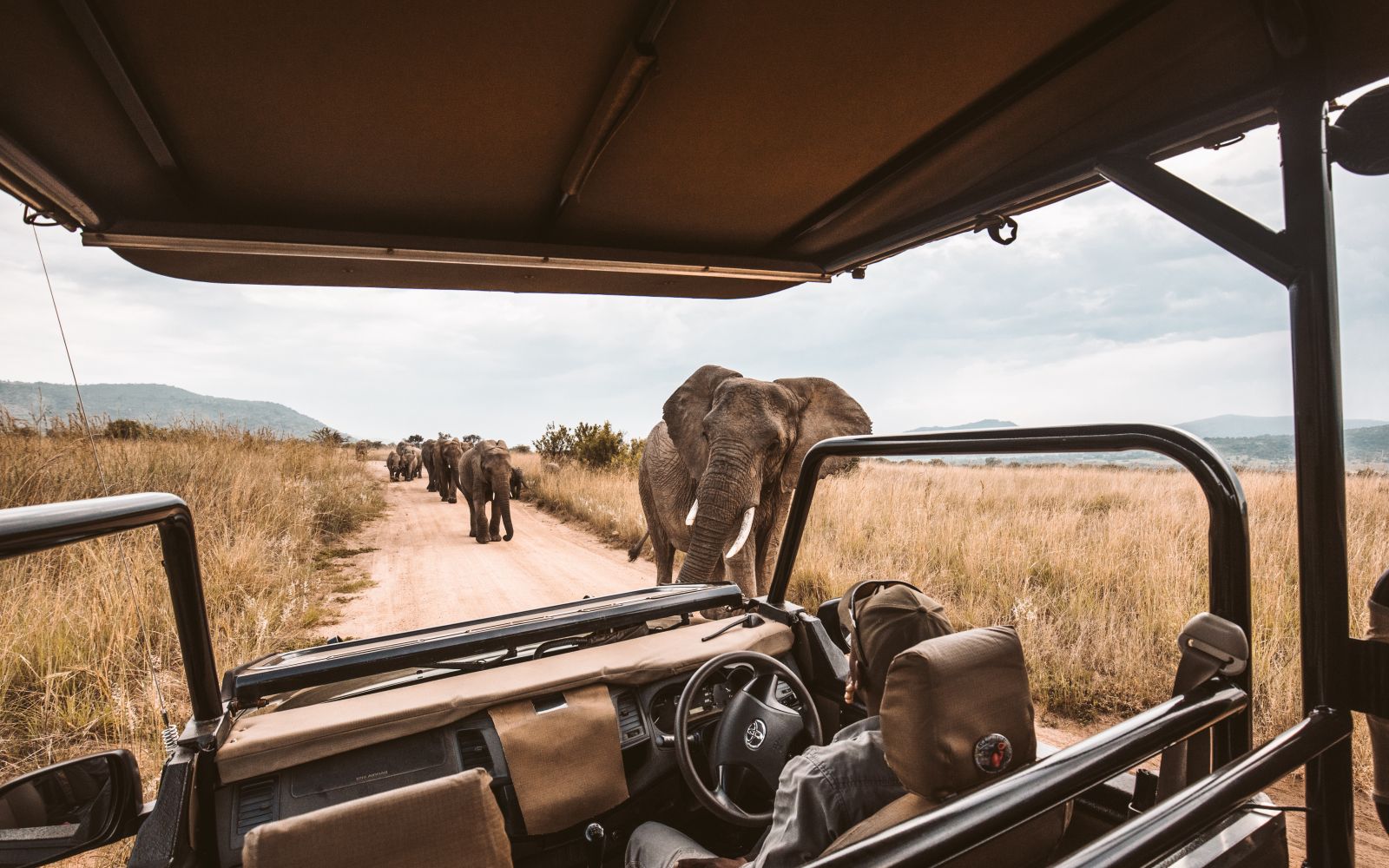 safari kenya organizzato