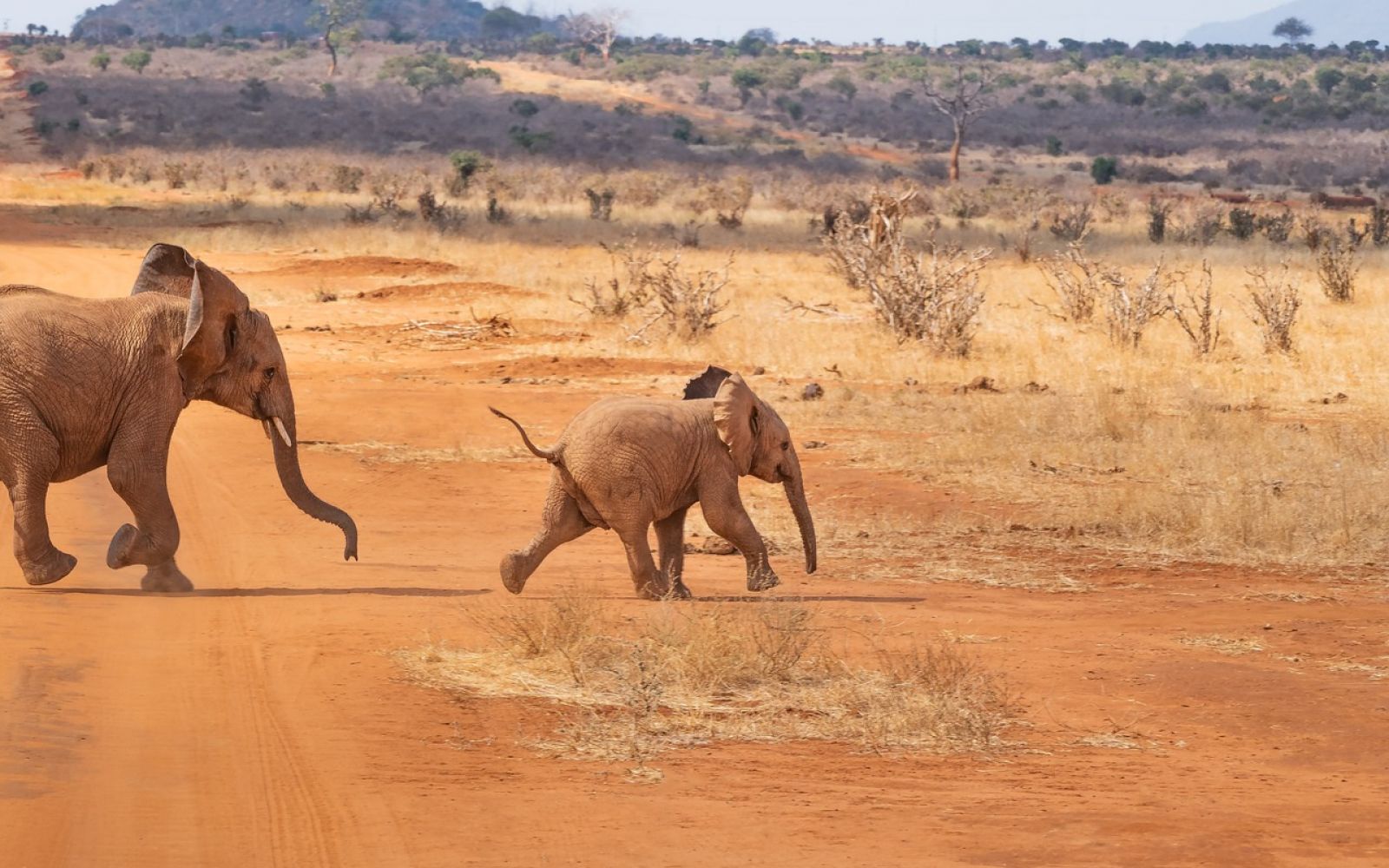 quanti giorni per safari in kenya